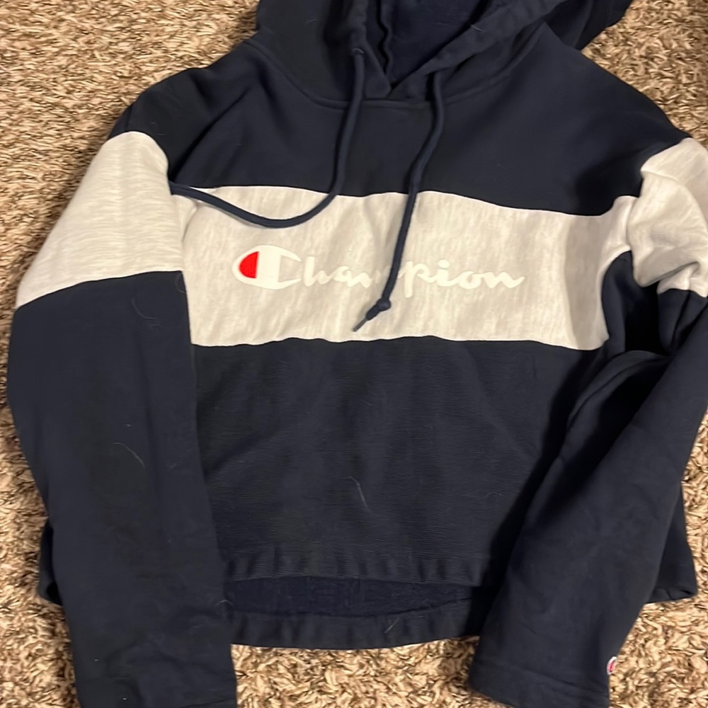 Cropped champion hoodie